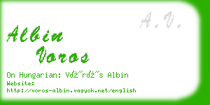 albin voros business card